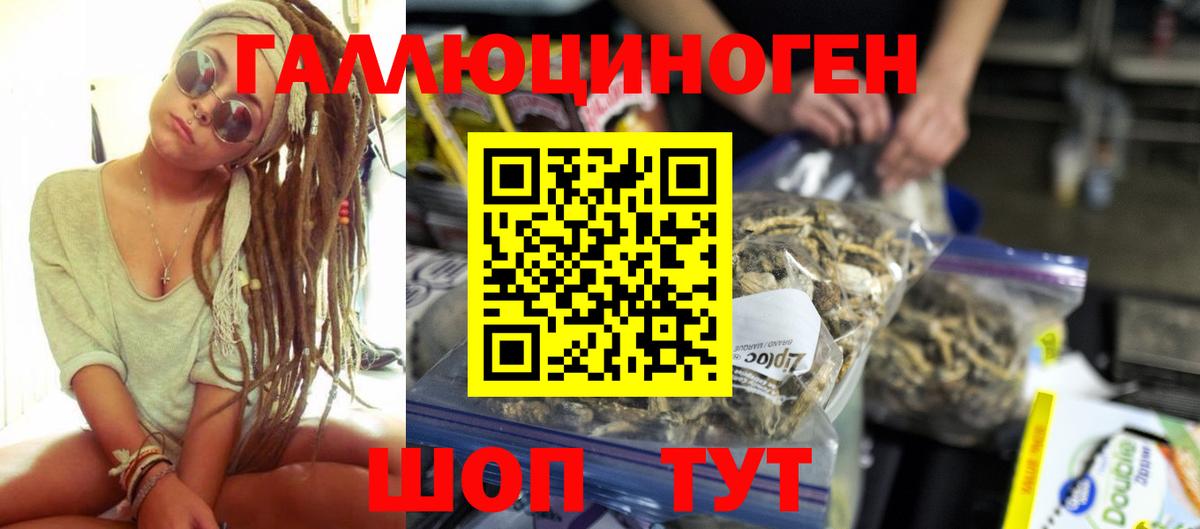 Галлюциногенные грибы Cubensis Лысьва